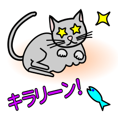 회색 고양이 스티커 2