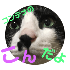 RIHO_20181002034000