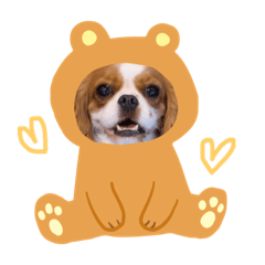 The cavalier story : cavybear