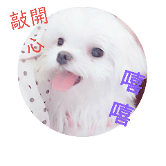 香草94萌