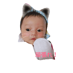 papa_20181002145635