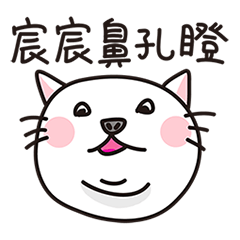 ChengChengCat