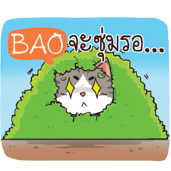 BAO cheeky cat e