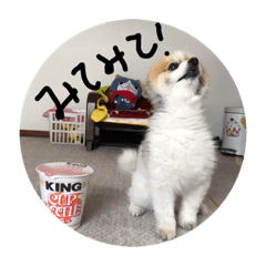 ponta_20181003134851