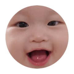 檸檬の表情包
