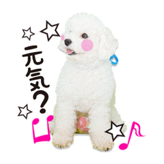 こぶた&おーじ(メッセージ1)