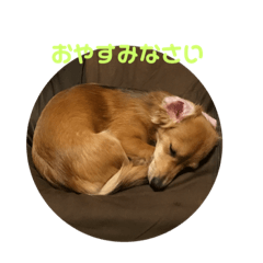 TM_20181003145906