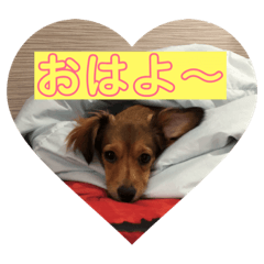 moka_20181003161255