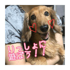 YURINA_20181003001048