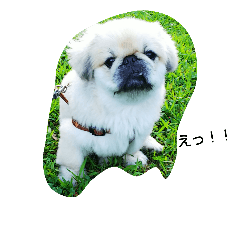 Kazuki_20181003150032