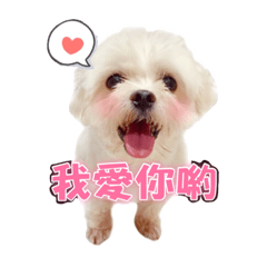 我家有30個寶貝