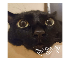 ma-ko