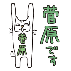 Only for Mr. Sugawara Banzai Cat