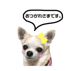 Nishida's wanko