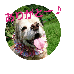pon_20181005004008-1