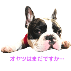 Hayato_20181005091244