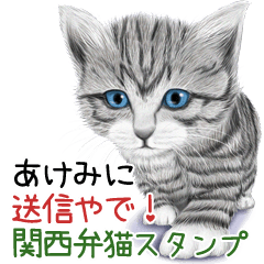 Akemi Kansaiben soushin cat