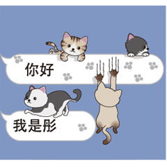 彤-名字Sticker貓