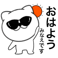 Sunglasses Cat Minae