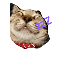 Asuka_20181005133736