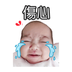 喜 羊 羊