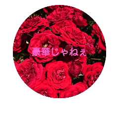 薔薇の香りがする広島弁