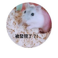 ㄇㄨㄚˇ吉日常