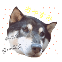 CHIHIRO_20181004125430
