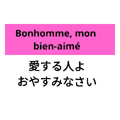 fashionable french english translation