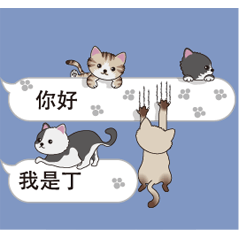 Kitten Chinese 109