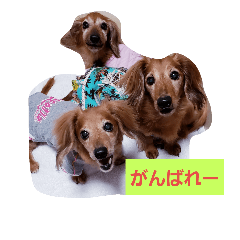 kayo_20181005134422