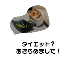 nanami_20181005173419