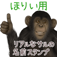 Horii Monkey's real name Sticker