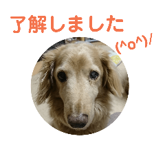 DAI2018