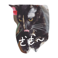 我家妙麗
