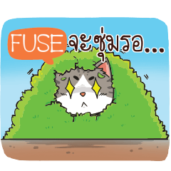 FUSE cheeky cat e