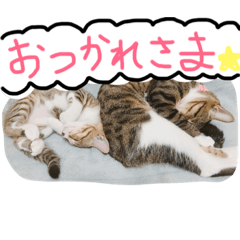 miyabi_20181006134826