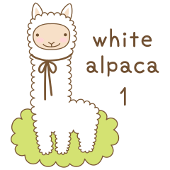 white alpaca 1