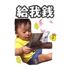 汪仔的日常
