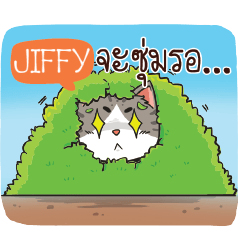 JIFFY cheeky cat e