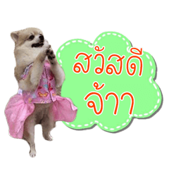 Khai Muk...
