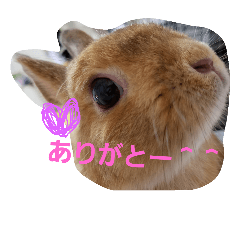 yukari_20181006200018