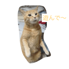 mame_20181007124346