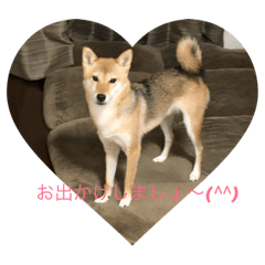 kinako_20181007181031