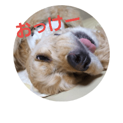pon_20181007192933