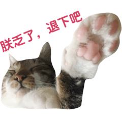 DaDa&DuoDuo