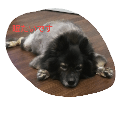 hana_20181007225947