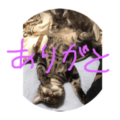 hikaru_20181008022102