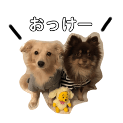 marina_20181007235313