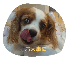hana_20181008093411